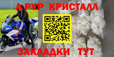 гашик Бийск