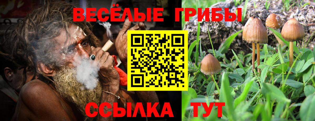 Галлюциногенные грибы мухоморы  Псилоцибиновые грибы MAGIC MUSHROOMS  Вход с VPN  Гусев 