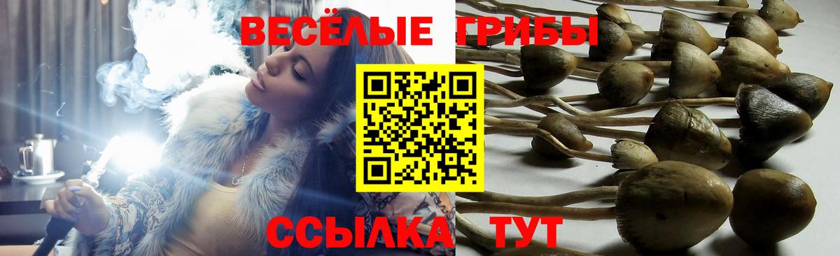 Галлюциногенные грибы ЛСД Гусев
